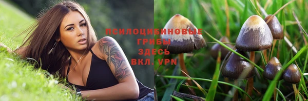 меф Медвежьегорск
