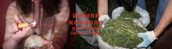 тгк Мегион