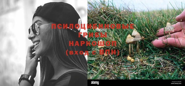 тгк Мегион